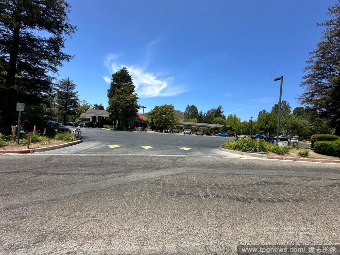 T165704276
