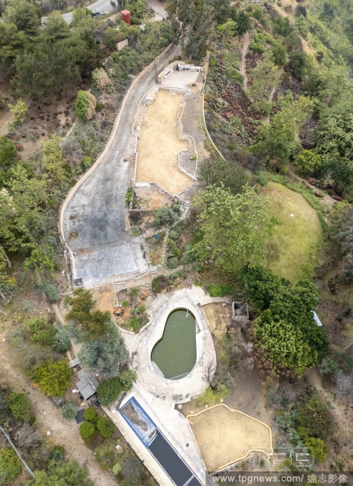 T165706780