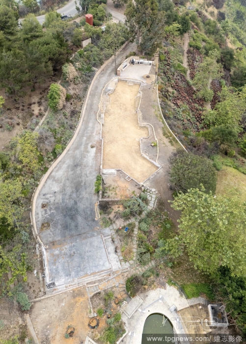 T165706814