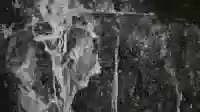 C01695282